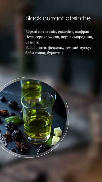 Ароматическая соевая свеча в кашпо - Black currant absinthe 8800-0114 фото